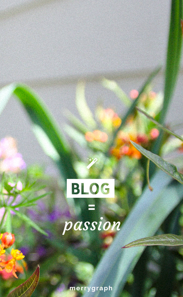 Blog et passion